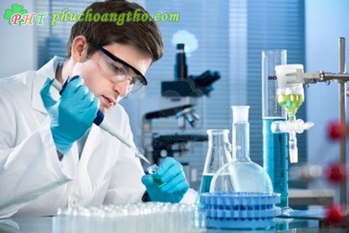 nghiên cứu điều trị ung thư tam thất