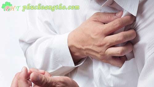 công dụng tam thất bắc chống đột quỵ tim